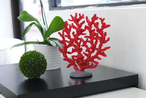 Furniture Store «Big C Furniture», reviews and photos, 8011 SW 40th St #102, Miami, FL 33155, USA