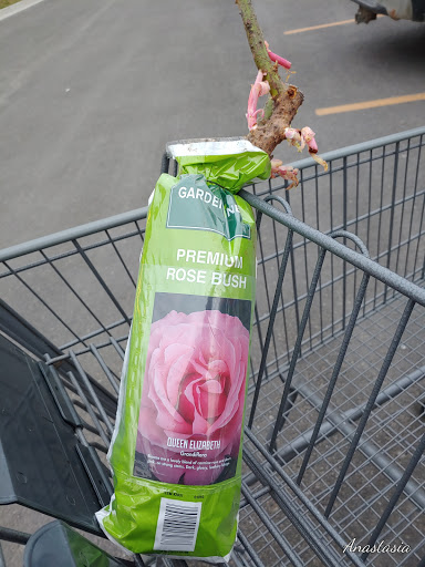 Supermarket «ALDI», reviews and photos, 8640 W 135th St, Overland Park, KS 66223, USA