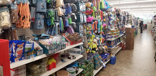 Dollar Store «Dollar Tree», reviews and photos, 250 SW 152nd St, Burien, WA 98166, USA