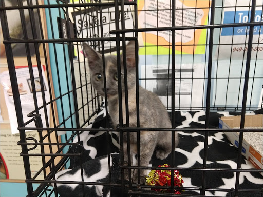 Pet Supply Store «PetSmart», reviews and photos, 33963 Doheny Park Rd, San Juan Capistrano, CA 92675, USA