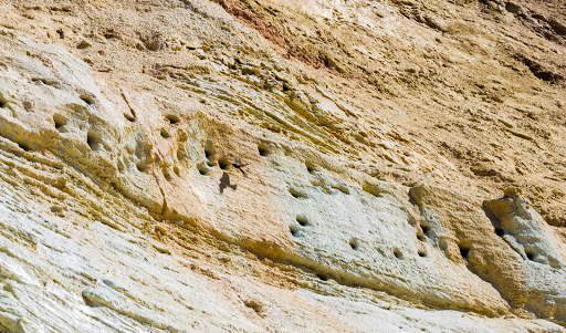 Park «Caumsett State Park», reviews and photos, 25 Lloyd Harbor Rd, Lloyd Harbor, NY 11743, USA