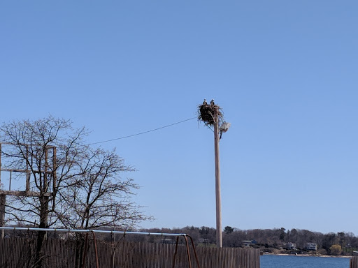 Park «West Harbor Beach Memorial Park - Village Of Bayville», reviews and photos, 10 West Harbour Drive, Bayville, NY 11709, USA