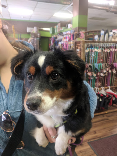 Pet Supply Store «Scally Waggs Doggy Bakery & Pet Supplies», reviews and photos, 44 W Front St, Monroe, MI 48161, USA