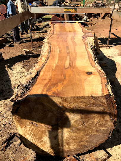 Plantation Sawmilling and Boards