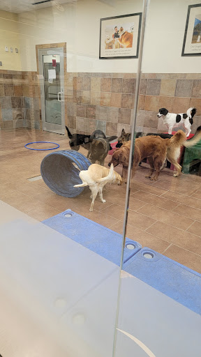 Pet Supply Store «PetSmart», reviews and photos, 5435 W TX-1604 Loop N, San Antonio, TX 78253, USA