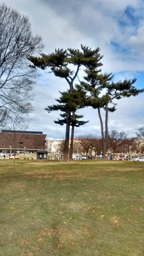 Museum «United States Holocaust Memorial Museum», reviews and photos, 100 Raoul Wallenberg Pl SW, Washington, DC 20024, USA