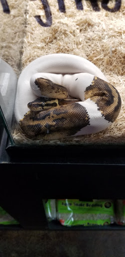 Pet Store «Wildside Pets», reviews and photos, 1042 N Higley Rd #105, Mesa, AZ 85205, USA