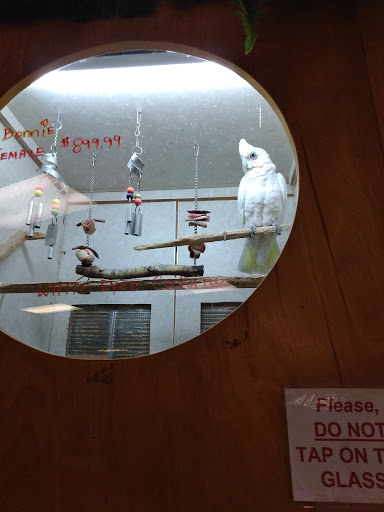 Pet Store «Forever Pets Inc», reviews and photos, 1030 Basse Rd, San Antonio, TX 78212, USA