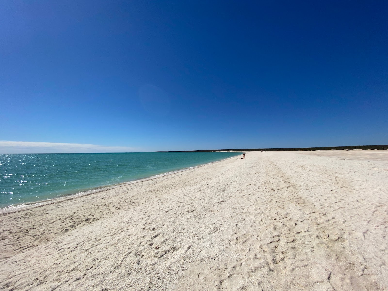 Foto di Shell Beach con una superficie del sabbia bianca