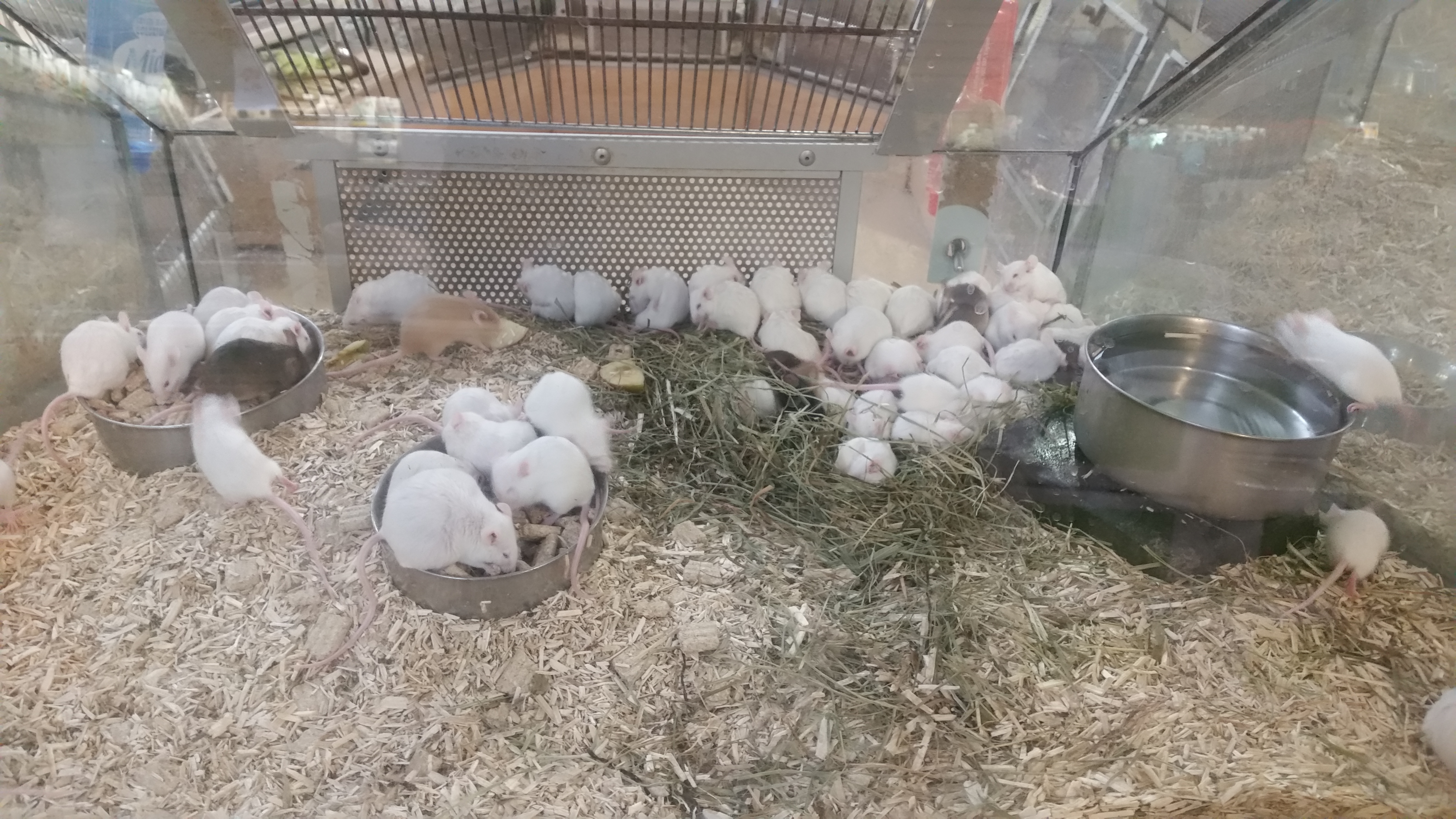 Photo n° 5 de l'avis de Mathilda. fait le 22/04/2017 à 15:15