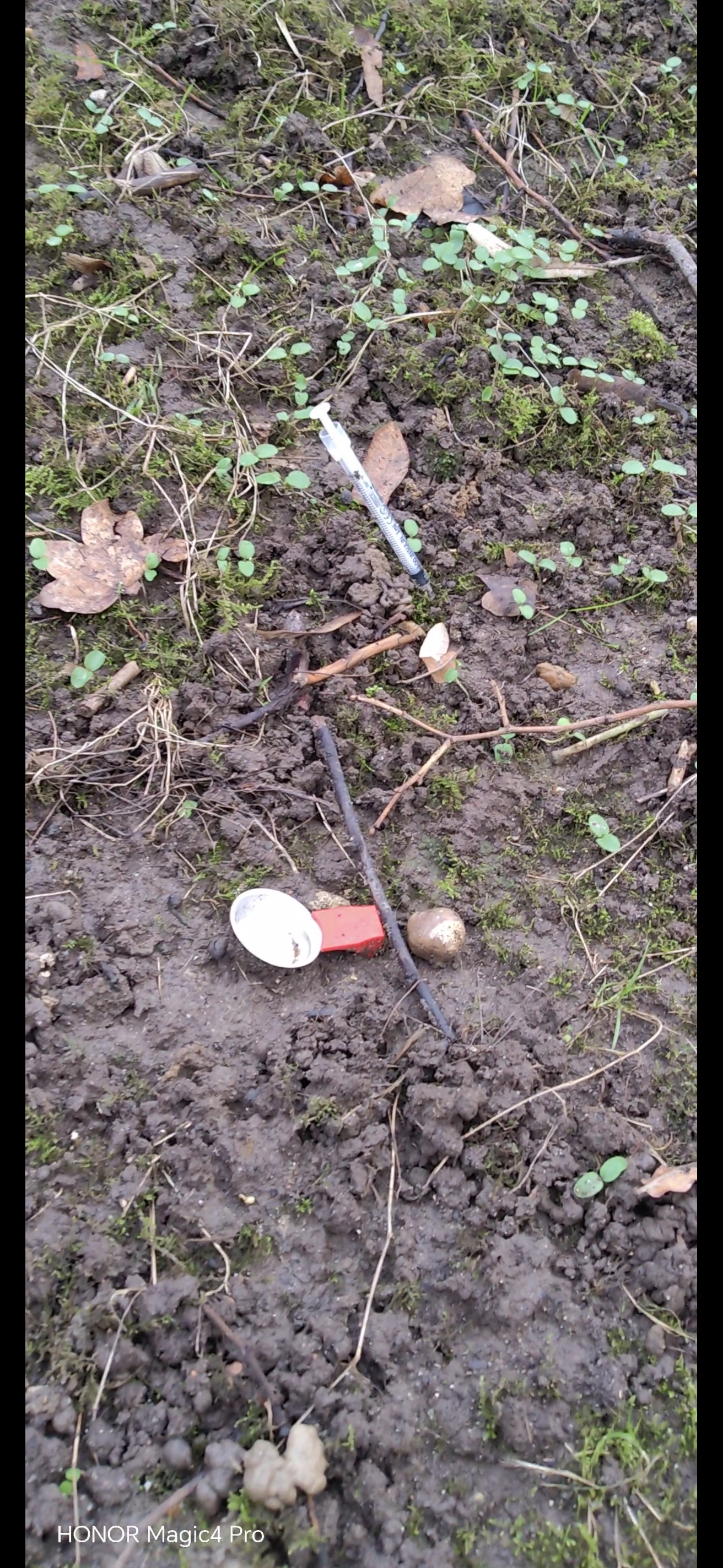 Photo n° 3 de l'avis de Géant.e fait le 06/02/2024 à 17:24