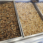 Photo n°2 de l'avis de Célia.e fait le 13/06/2018 à 12:15 sur le  Casa dos Caracóis à Lisbon