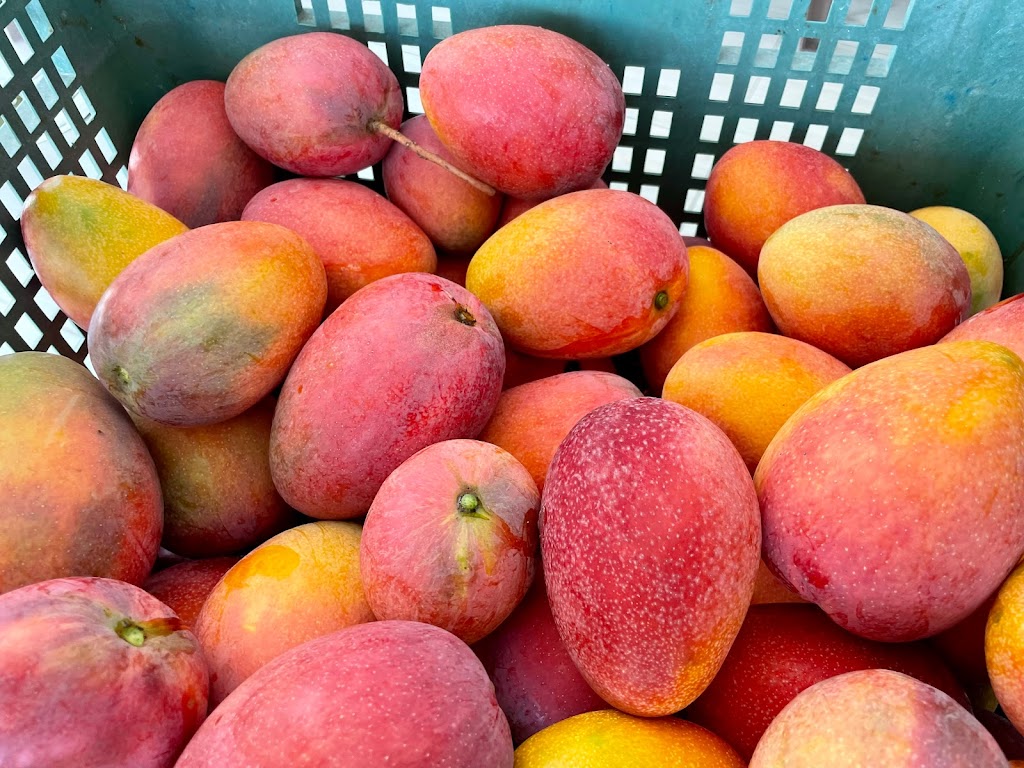 我家小站 的照片