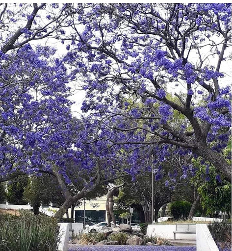 Parque de las Ninfas