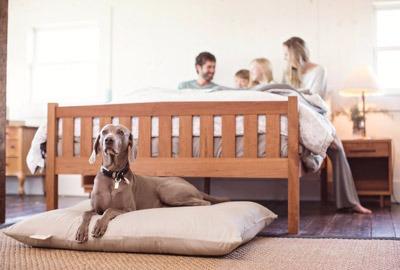 Bedroom Furniture Store «The Futon Shop», reviews and photos, 2724 Santa Rosa Ave, Santa Rosa, CA 95403, USA