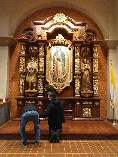 Tourist Attraction «Linda Vista Trail», reviews and photos, 730 E Linda Vista Rd, Oro Valley, AZ 85737, USA