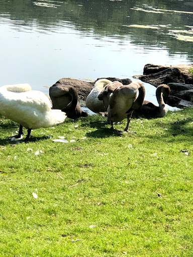 Park «Van Cortlandt Park», reviews and photos, Broadway and Vancortlandt Park S, Bronx, NY 10462, USA