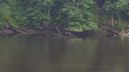 Historical Place Museum «Historic New England Hamilton House», reviews and photos, 40 Vaughans Ln, South Berwick, ME 03908, USA