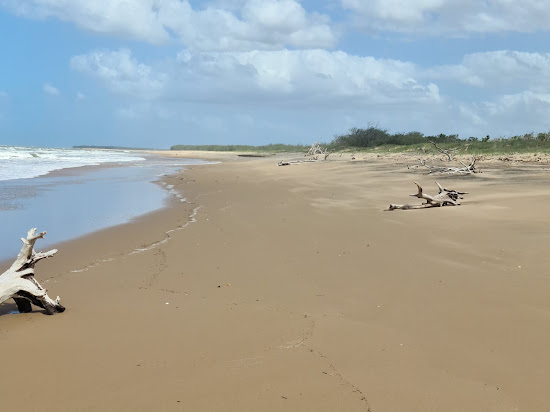 Rules Beach