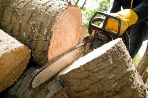 Hector Salas Tree Service of Ontario - Tree Removal Contractor Ontario CA, Tree Services
