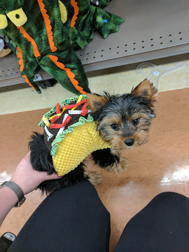 Pet Supply Store «Petco Animal Supplies», reviews and photos, 4030 N MacArthur Blvd #200, Irving, TX 75038, USA