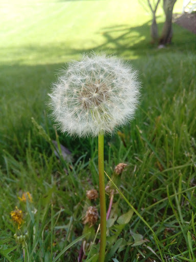 Country Club «Boulder Ridge Country Club», reviews and photos, 350 Boulder Dr, Lake in the Hills, IL 60156, USA