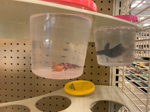 Pet Supply Store «Petco Animal Supplies», reviews and photos, 4913 Main St, Spring Hill, TN 37174, USA
