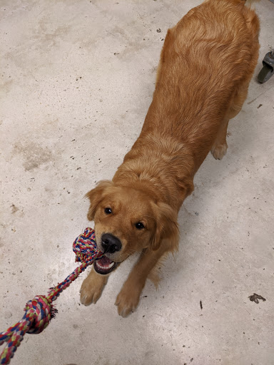 8776 SW 72nd St, Miami, FL 33173, USA