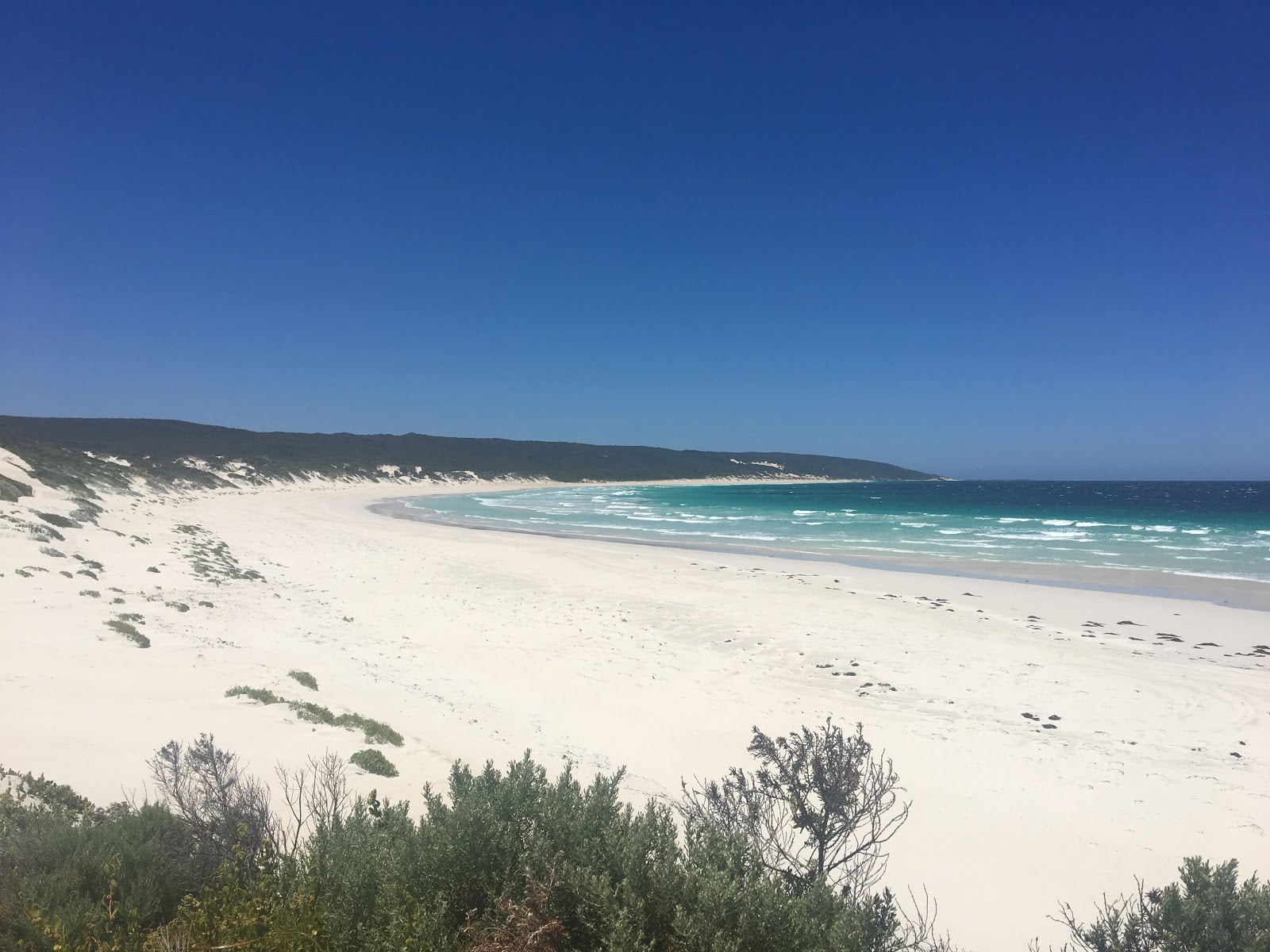 Foto de Deepdene Beach con muy limpia nivel de limpieza
