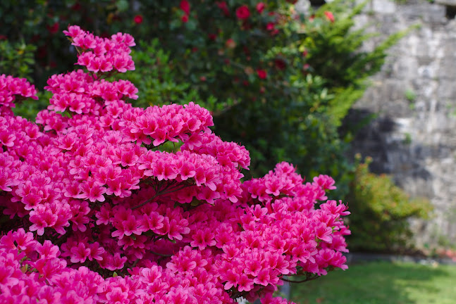 Gartenbau Tessin