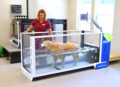 Steele Creek Animal Hospital image