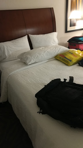 Hotel «Hilton Garden Inn Shelton», reviews and photos, 25 Old Stratford Rd, Shelton, CT 06484, USA