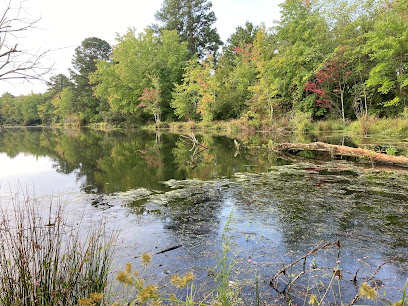 Hatchs Pond