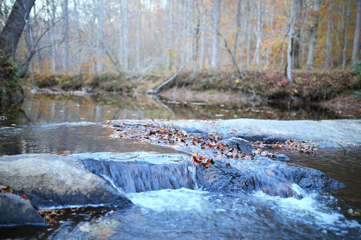 National Park «Prince William Forest Park», reviews and photos, 18170 Park Entrance Rd, Triangle, VA 22172, USA