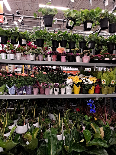 Home Improvement Store «The Home Depot», reviews and photos, 100 Bicentennial Way, Santa Rosa, CA 95403, USA