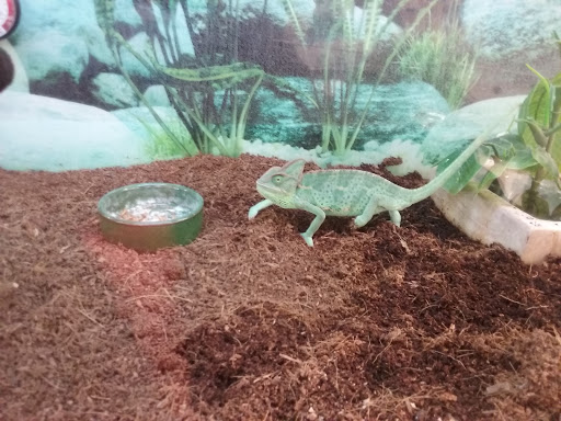 Pet Supply Store «Petco Animal Supplies», reviews and photos, 1622 Clark Street Rd, Auburn, NY 13021, USA