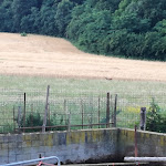 Photo n°2 de l'avis de Antonio.a fait le 22/06/2017 à 16:51 sur le  Agriturismo Cascina Scola à Rivoli