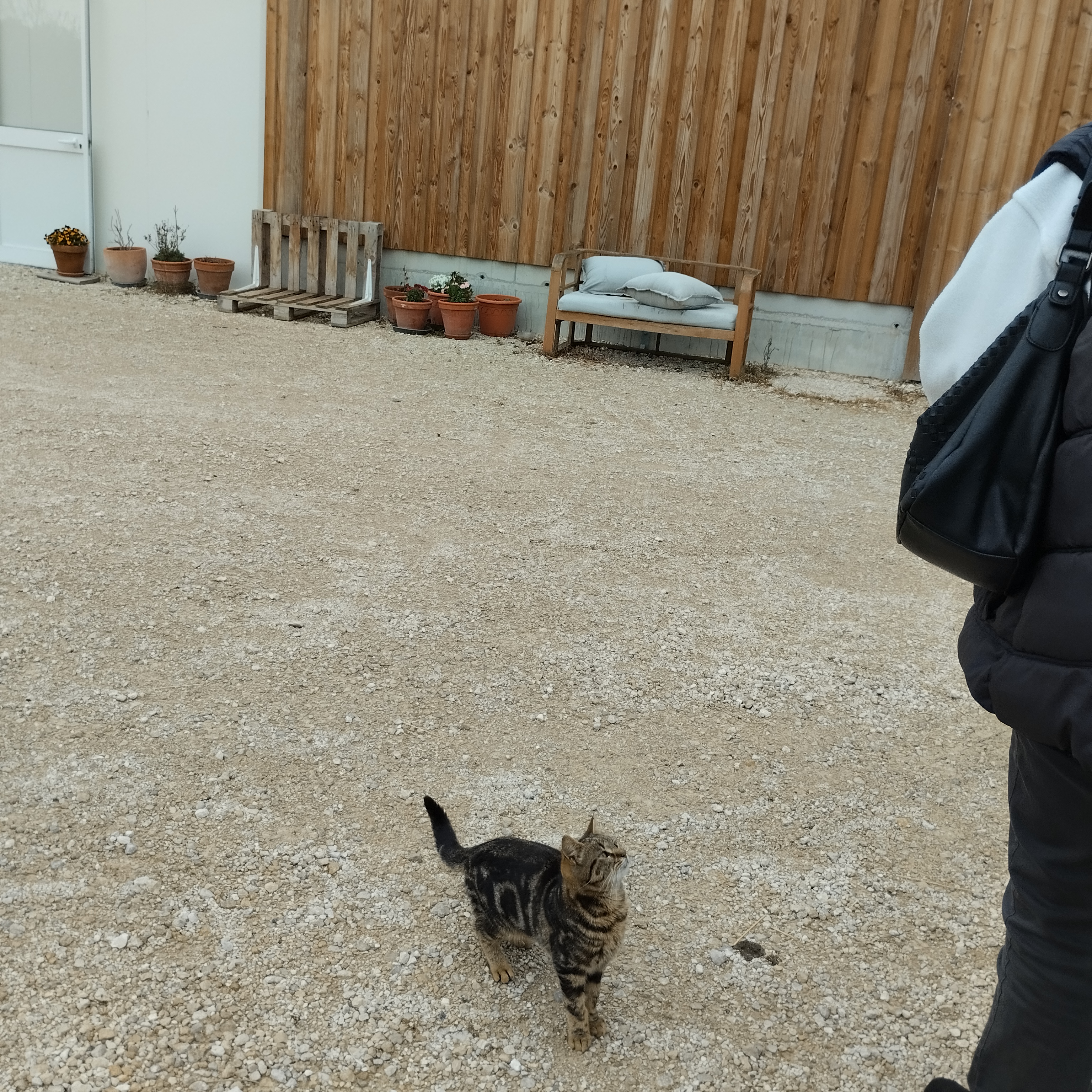 Photo n° 3 de l'avis de michel.a fait le 27/04/2023 à 12:18