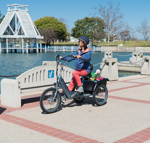 Pedego Electric Bikes Santa Rosa