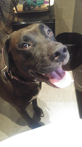 Key Duplication Service «Car Keys Express», reviews and photos, 828 E Market St, Louisville, KY 40206, USA