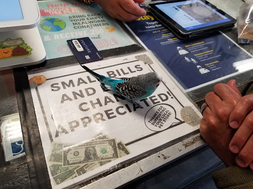 Pet Supply Store «The Animal Connection», reviews and photos, 2550 2550 Judah St & 31st Ave, San Francisco, CA 94122, USA