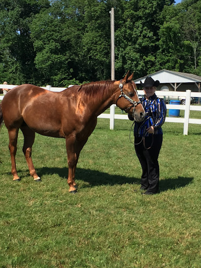 Surrey Hill Ranch Horse Boarding & Horse Stable Service in Massillon, Ohio