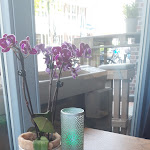 Photo n°1 de l'avis de ML. fait le 03/05/2023 à 15:40 sur le  CAFESITObar Rotenburg à Rotenburg