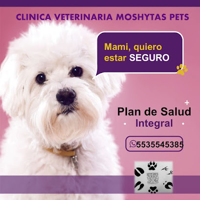 Clínica veterinaria Moshytas pets