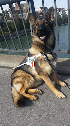 Verein für Blindenhunde und Mobilitätshilfen VBM - Liestal