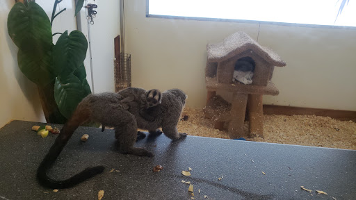 Ski Resort «Shawnee Mountain Ski Area», reviews and photos, 401 Hollow Rd, East Stroudsburg, PA 18301, USA