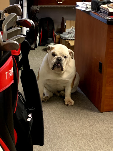 Golf Club «South Bay Country Club», reviews and photos, 3600 Skillman Ave, Oceanside, NY 11572, USA