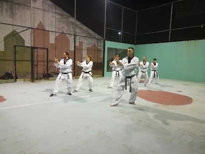 Academia de Taekwondo Darío Bonfante