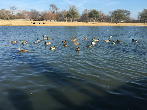 City Park «Celebration Park», reviews and photos, 701 Angel Pkwy, Allen, TX 75002, USA
