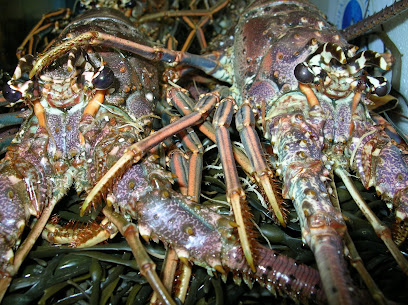 Supreme Lobster & Seafood Co